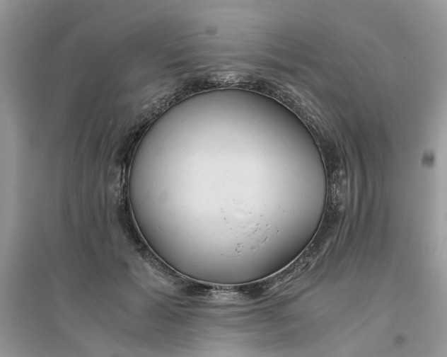 X0000096400605200802071602