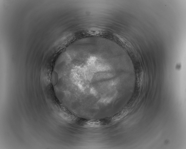 X0000096400606200802071602