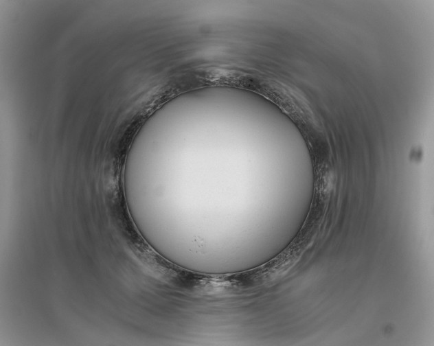 X0000096400607200802071602