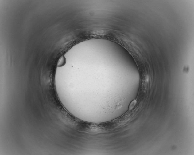 X0000096400608200802071602