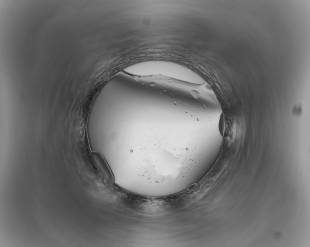 X0000096400609200802071602