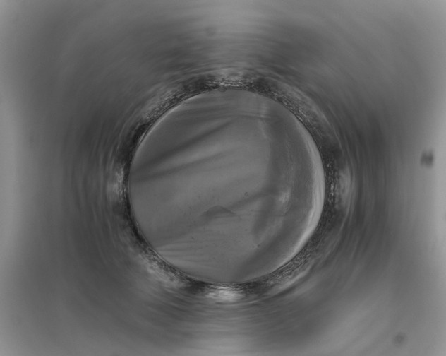 X0000096400610200802071602