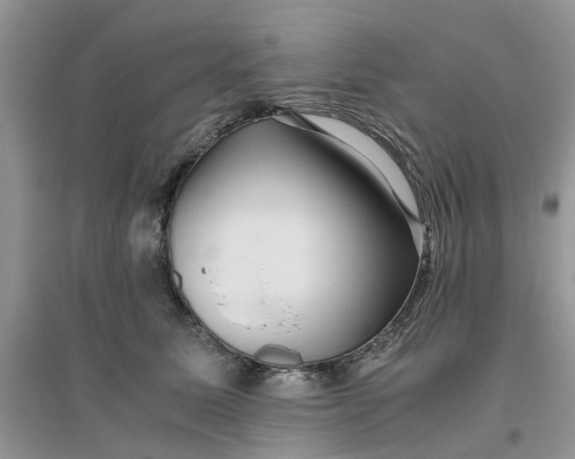 X0000096400611200802071602