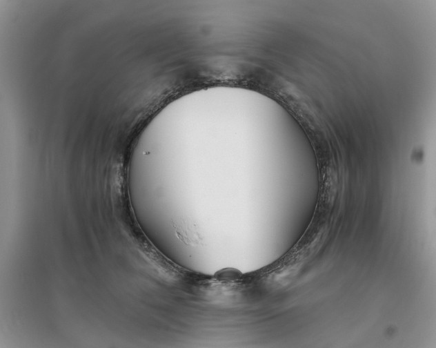 X0000096400612200802071602