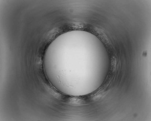 X0000096400614200802071602