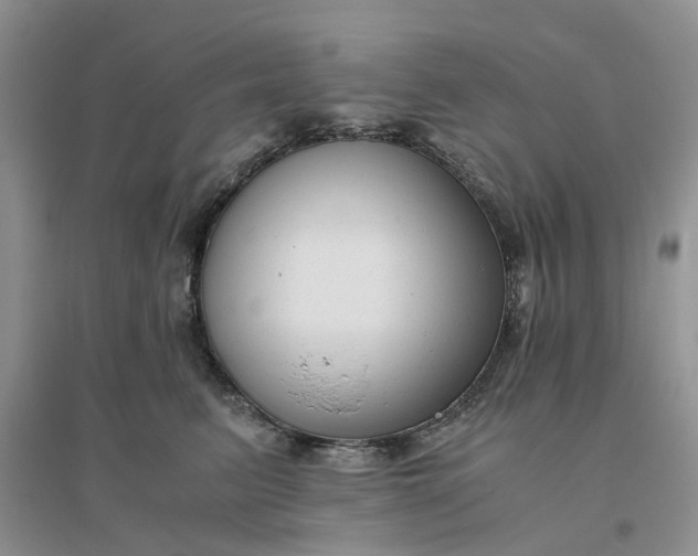 X0000096400615200802071602