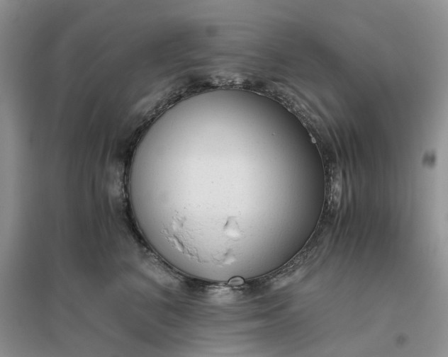 X0000096400616200802071602