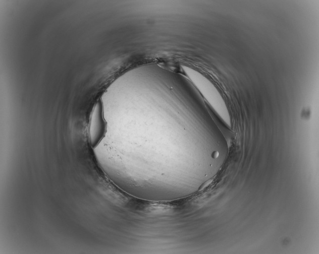 X0000096400617200802071602