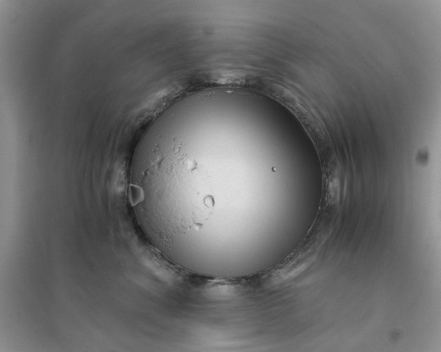 X0000096400620200802071602