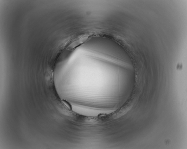 X0000096400624200802071602