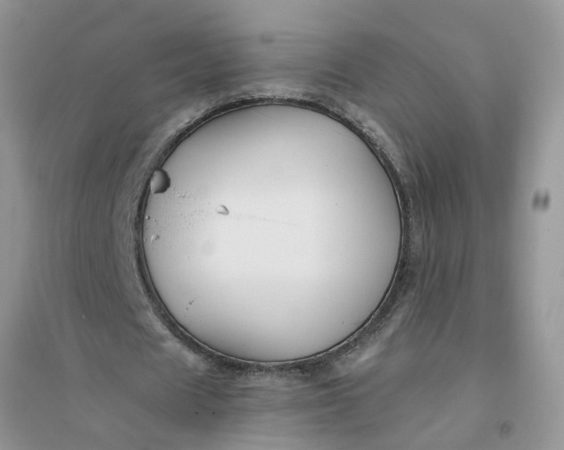 X0000096400625200802071601