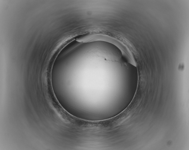 X0000096400626200802071601