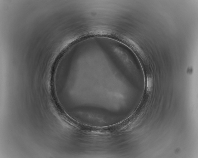 X0000096400627200802071601