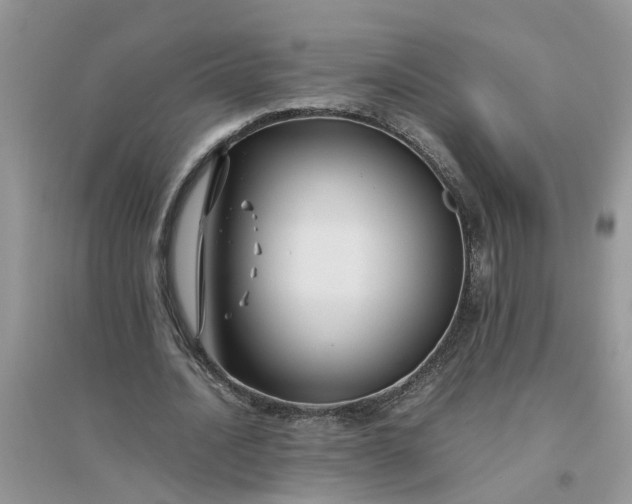 X0000096400628200802071602