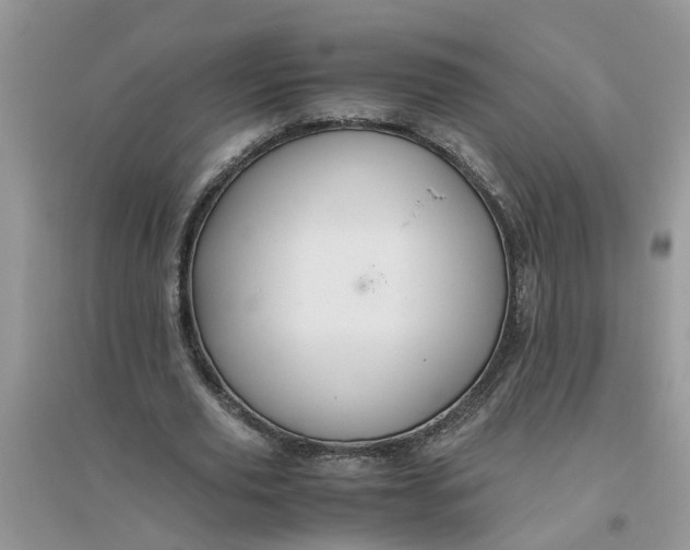 X0000096400629200802071602