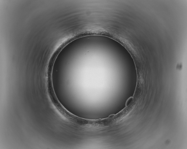 X0000096400630200802071602