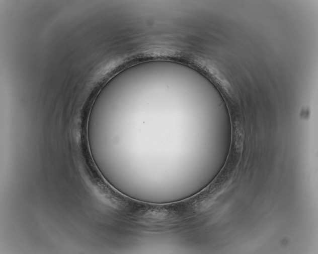 X0000096400631200802071602