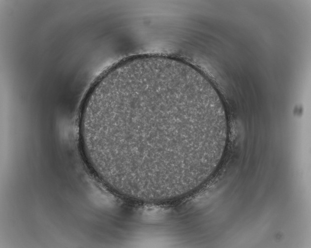 X0000096400632200802071602