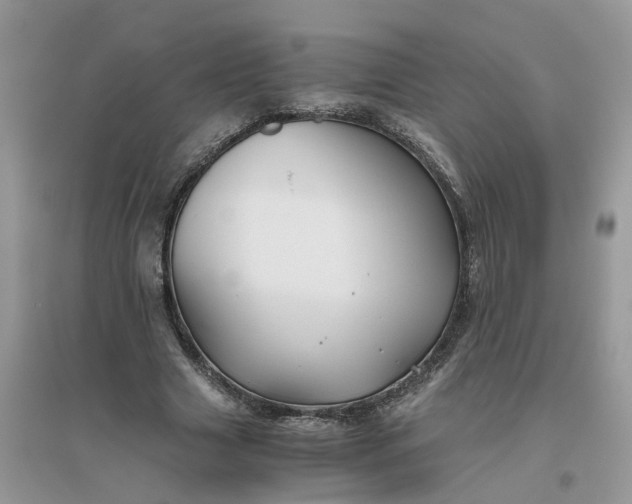 X0000096400633200802071602