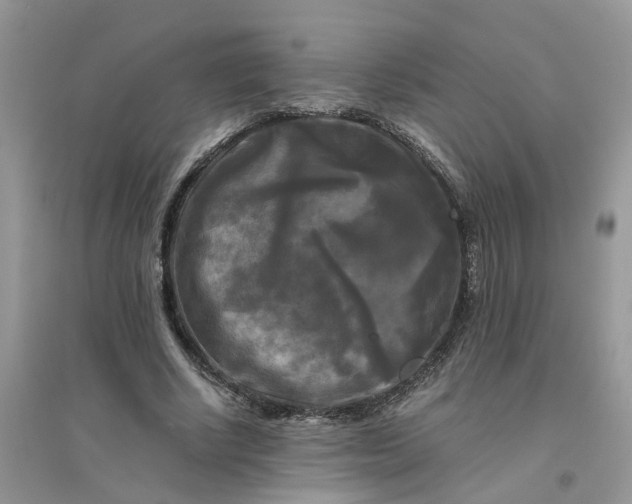 X0000096400634200802071602