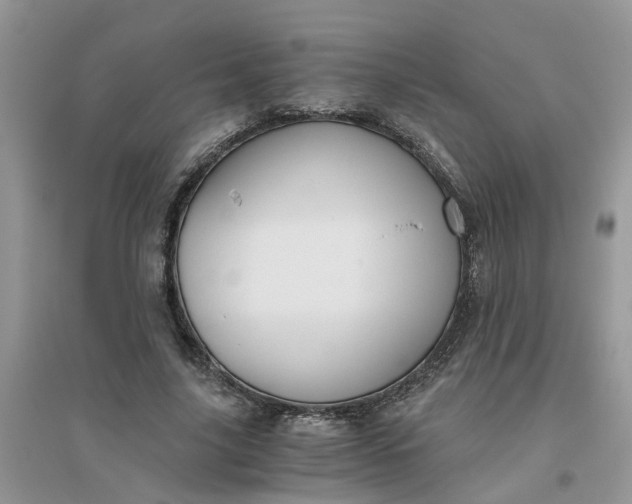 X0000096400635200802071602