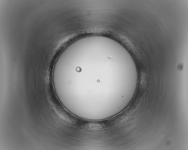 X0000096400636200802071602