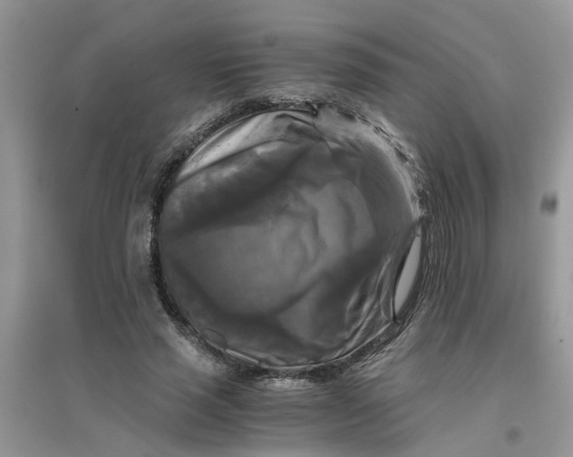 X0000096400637200802071602