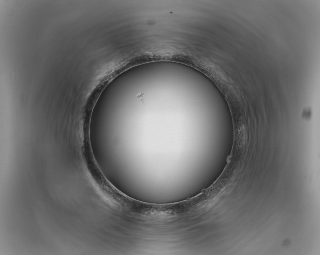 X0000096400638200802071602