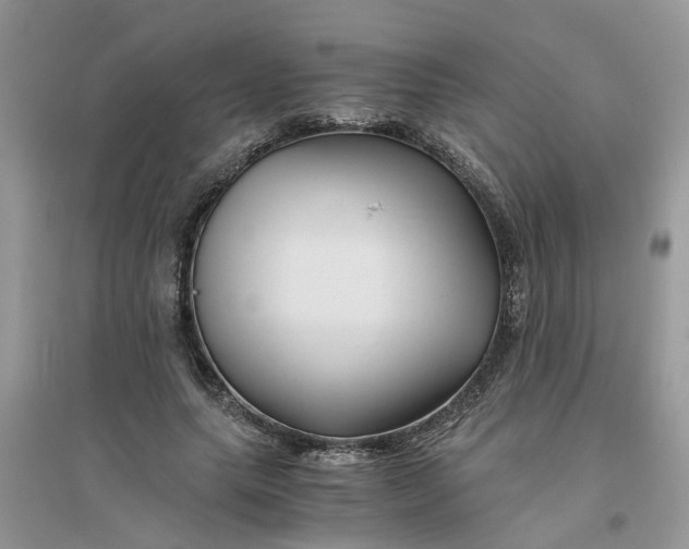 X0000096400639200802071602