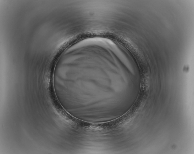 X0000096400640200802071602