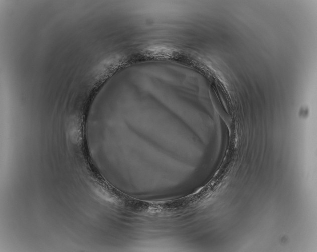 X0000096400641200802071602