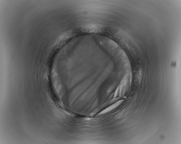 X0000096400643200802071602