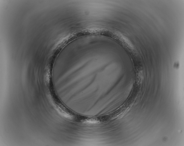 X0000096400644200802071602