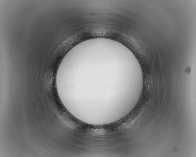 X0000096400645200802071602