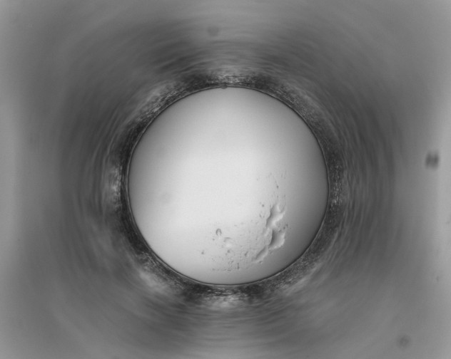 X0000096400646200802071602