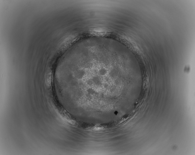 X0000096400647200802071602