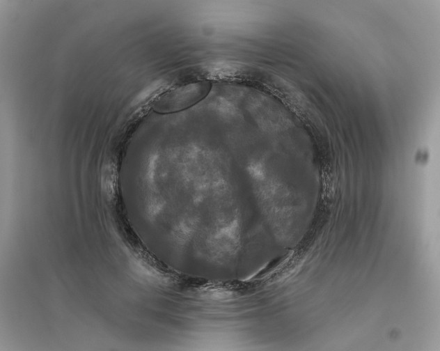 X0000096400648200802071602