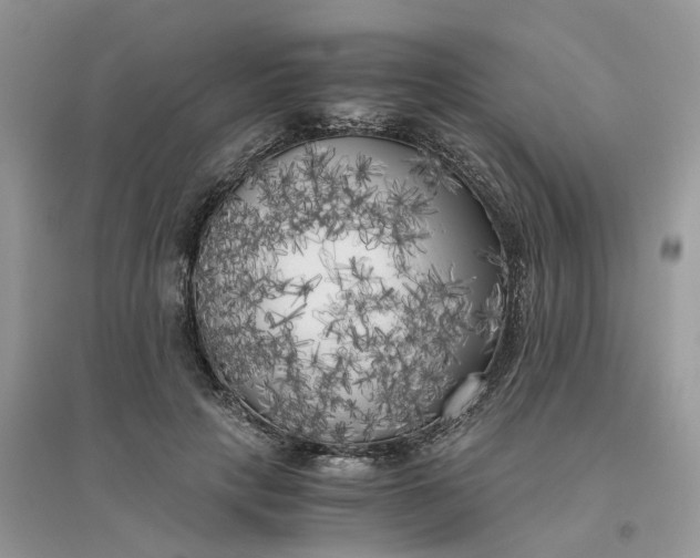 X0000096400649200802071602