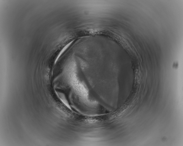 X0000096400650200802071602