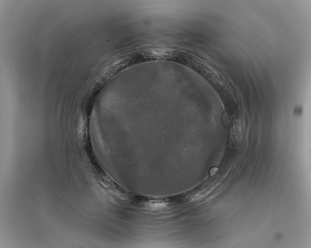 X0000096400651200802071602