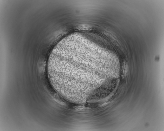 X0000096400652200802071602