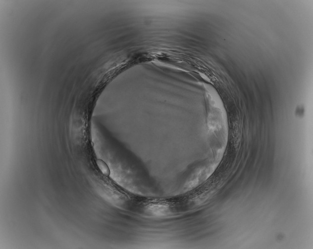 X0000096400653200802071602