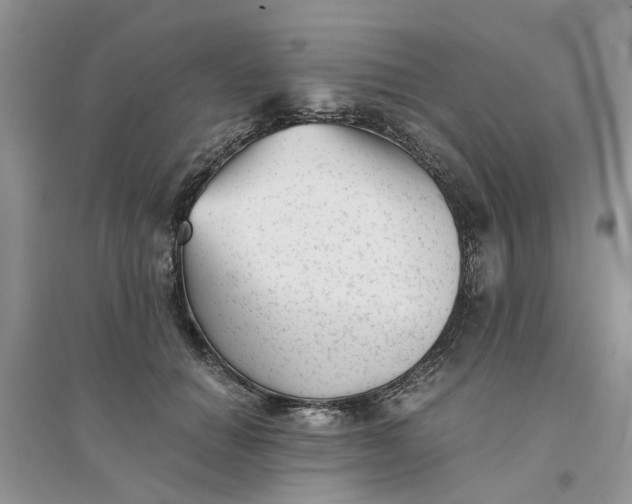 X0000096400654200802071602