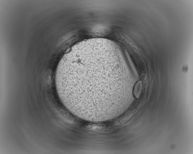 X0000096400655200802071602