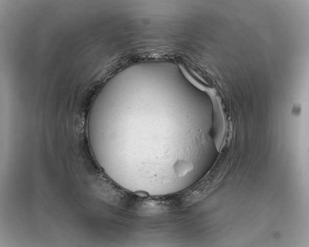 X0000096400657200802071602