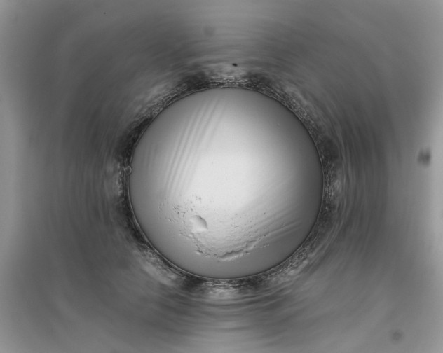 X0000096400658200802071602