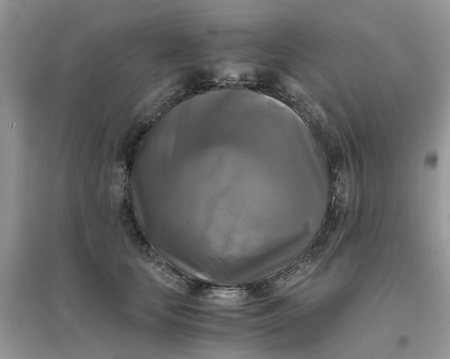 X0000096400659200802071602