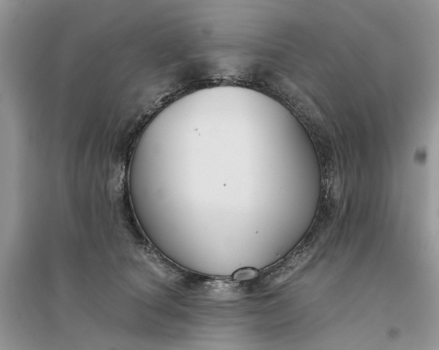 X0000096400660200802071602