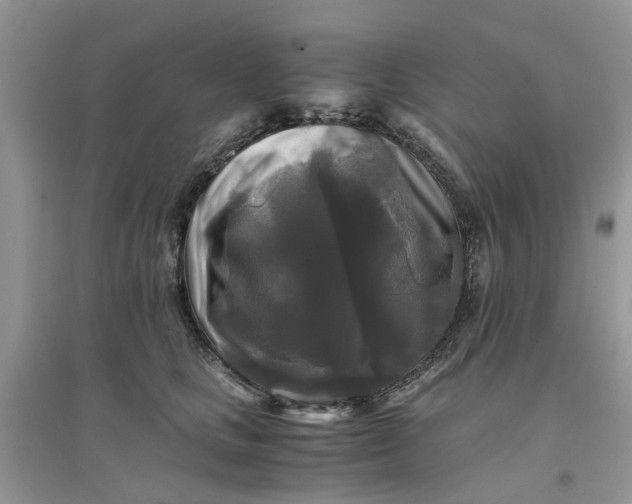 X0000096400661200802071602