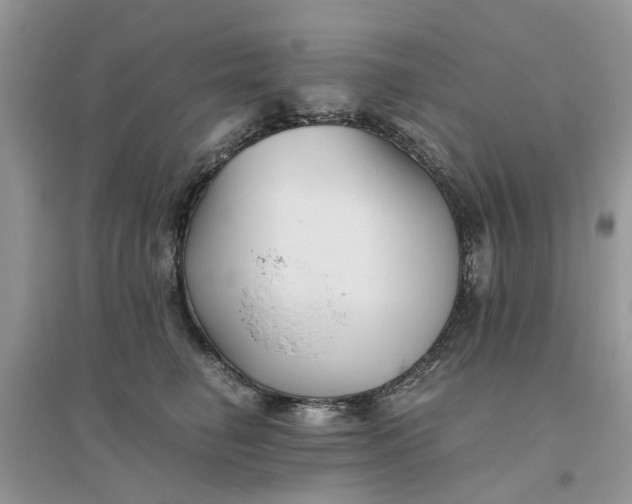 X0000096400662200802071602